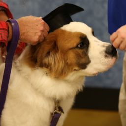 photograph by PeterW